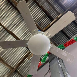 Hunter Fan Beaufort
