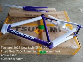 Tsunami Bike Frame with Fork